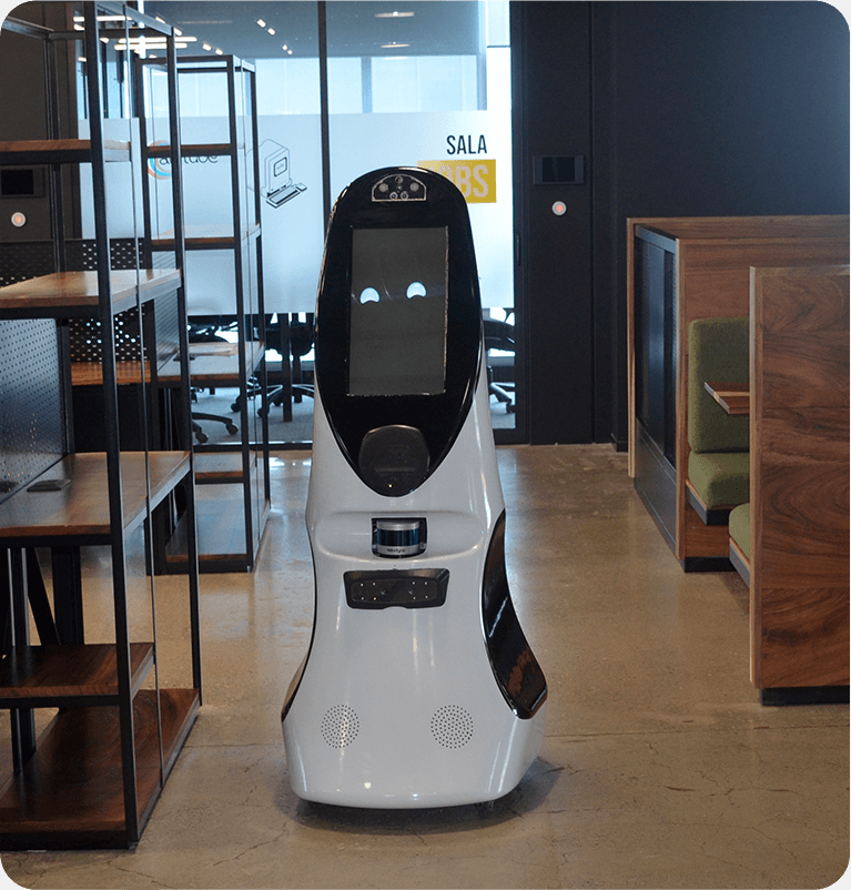 Roomie as a pioneer in service robotics