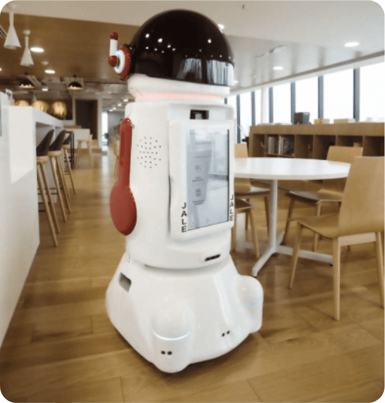 Roomie as a pioneer in service robotics