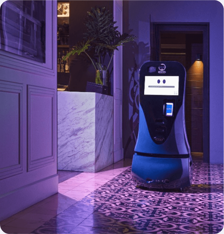 Roomie as a pioneer in service robotics