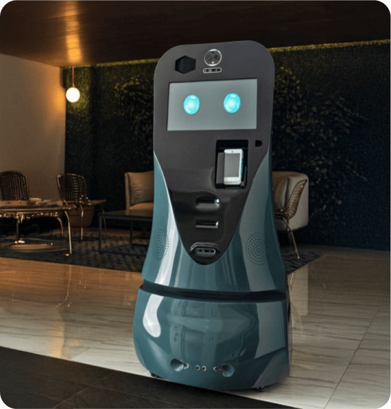 Roomie as a pioneer in service robotics