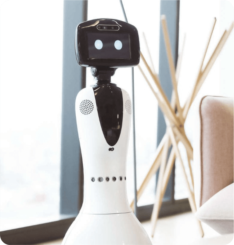 Roomie as a pioneer in service robotics